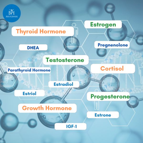 l carnitine and estrogen Hormones Explained!